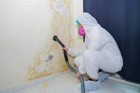 Best Commercial Mold Inspection  in Slocom, AL